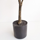 Árvore Artificial Dracena Toque Real | Formosinha